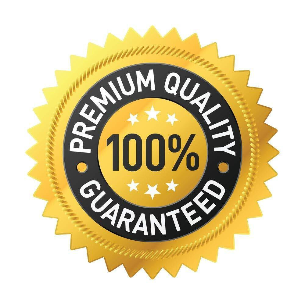 The Mountain is You By Brianna Wiest USA Stock Premium Quality Free Shipping