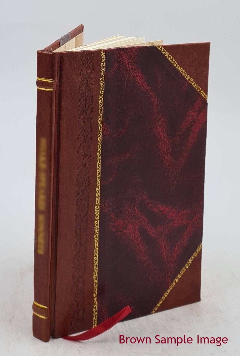 Bacterial Food Poisoning A Concise Exposition Of The Etiology, B [Leather Bound]